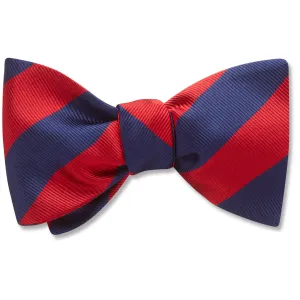 Academy Navy/Red - Dog Bow Ties