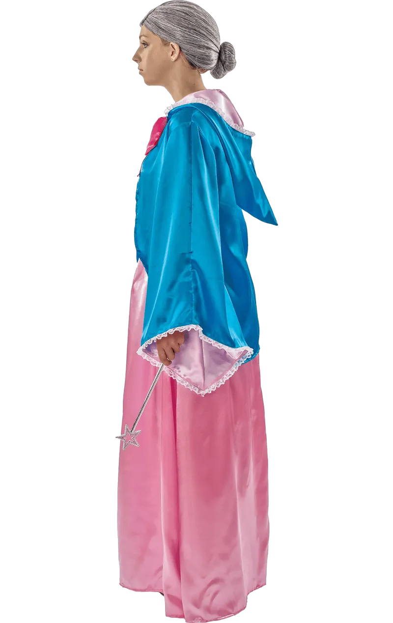 Adult Fairy Godmother Book Day Costume