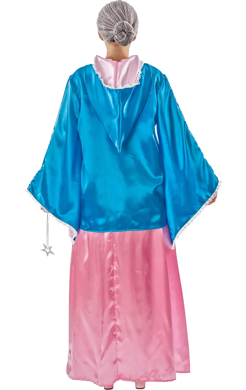 Adult Fairy Godmother Book Day Costume