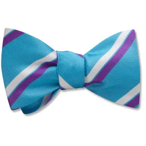 Aquinara - Dog Bow Ties