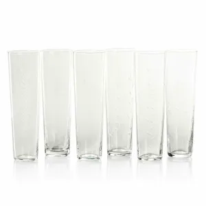 Assorted Botanical Etched Flutes, Set of 6
