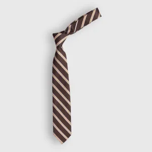 Brown Striped Tie