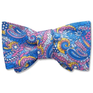 Clarkia - Dog Bow Ties