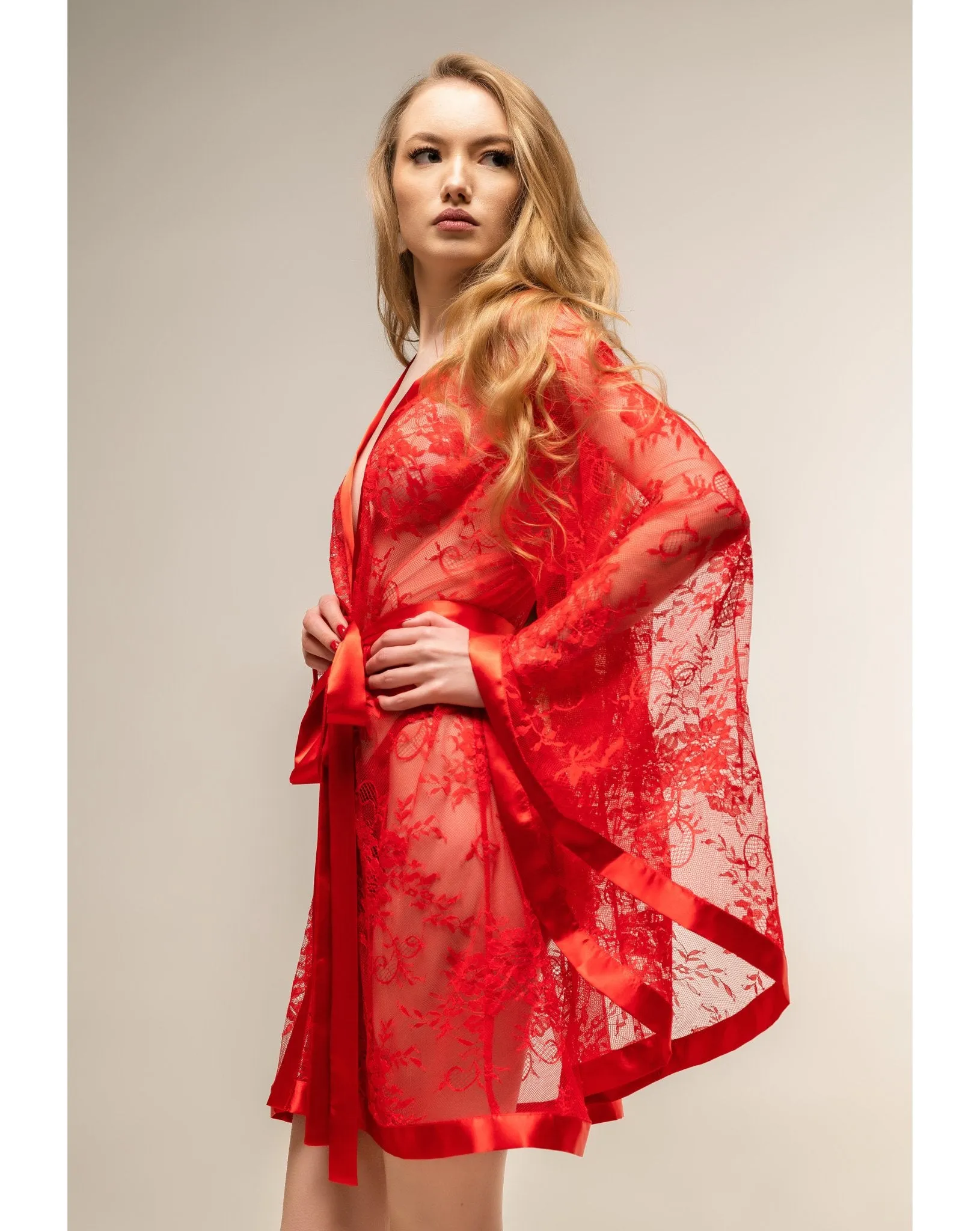 Close To You Sexy Sheer Robe