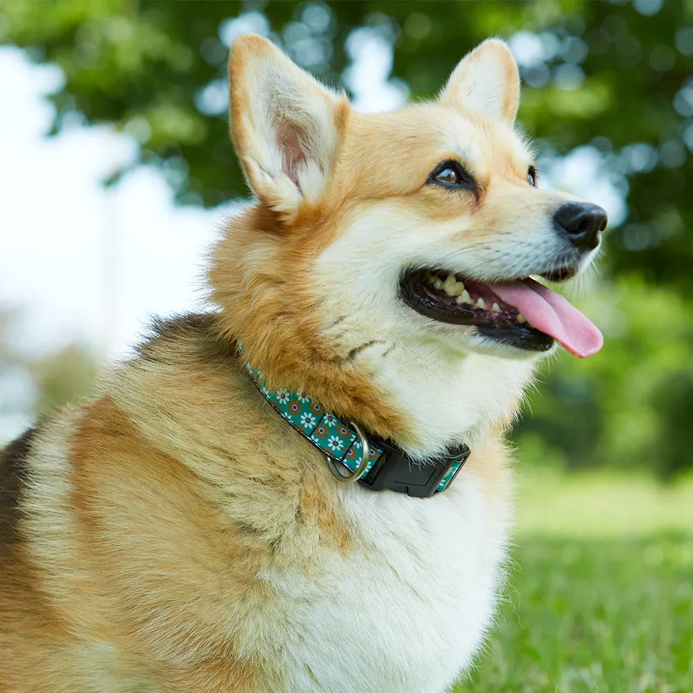 Democrat Blue - Dog Collar