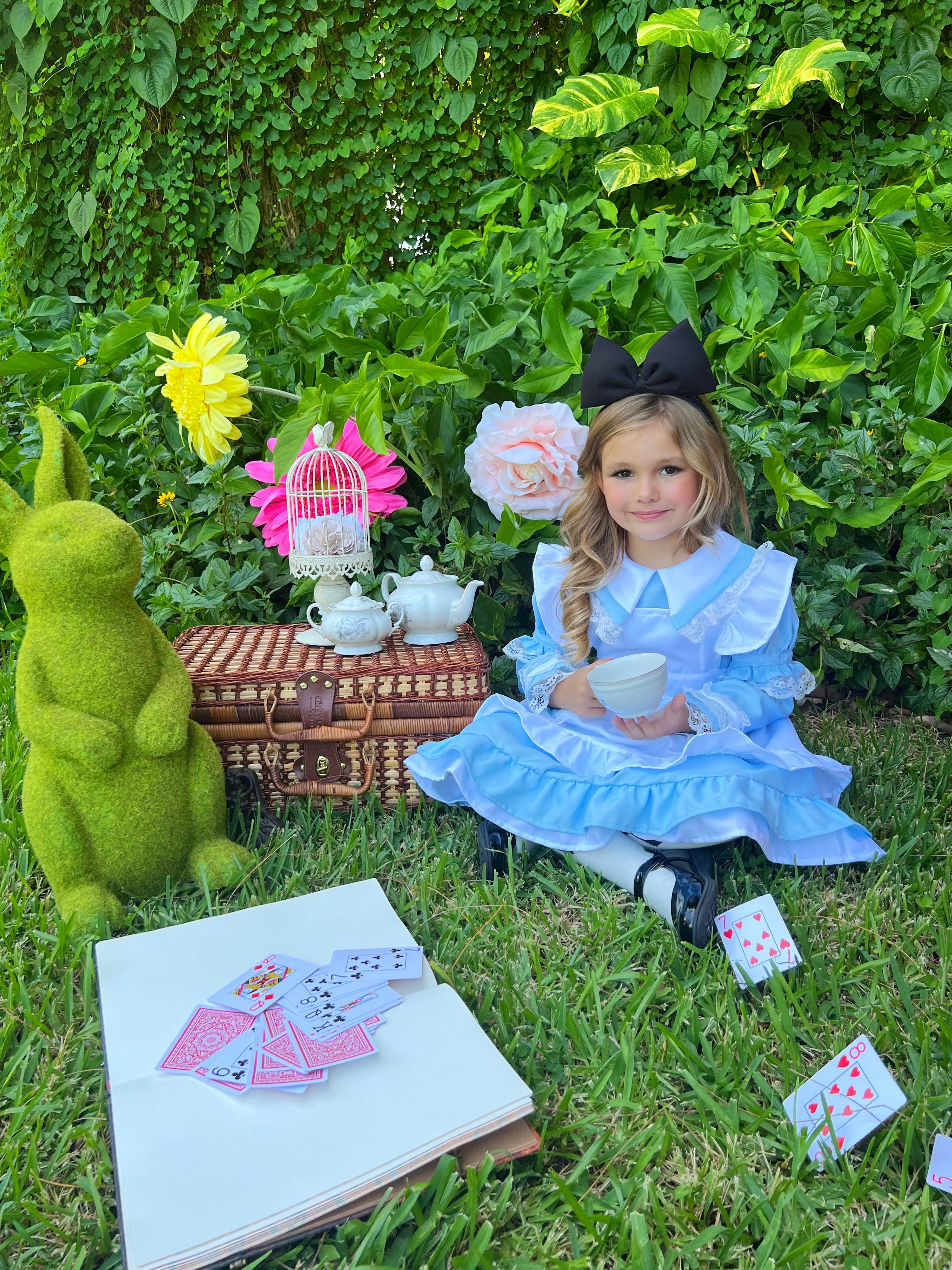 Girls Enchanted Alice Ruffled Costume Dress