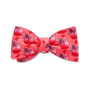 Lilypink - Kids' Bow Ties