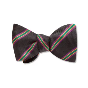 Metairie - Kids' Bow Ties
