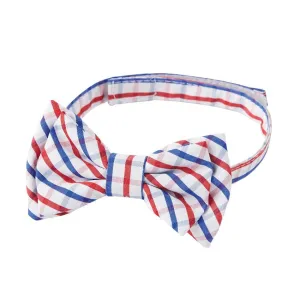 Mud Pie Blue & Red Check Bow Tie