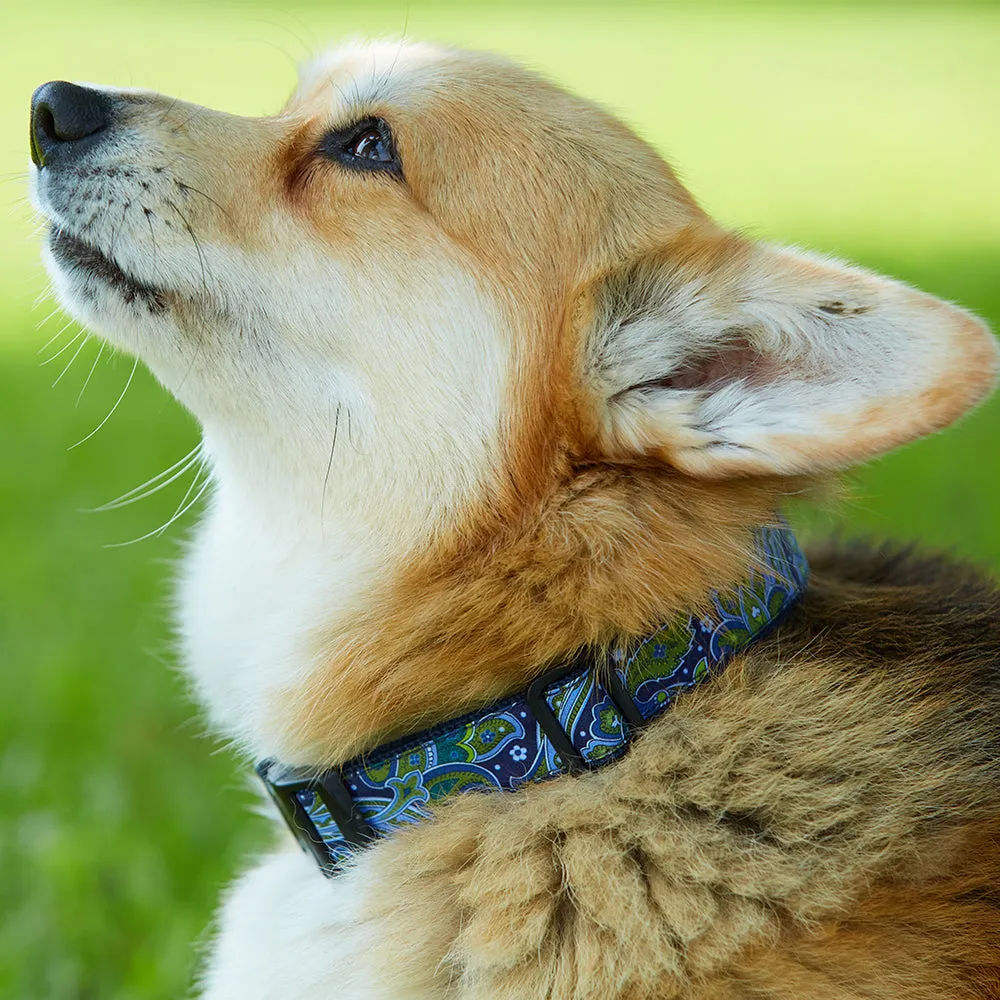 Republican Red - Dog Collar