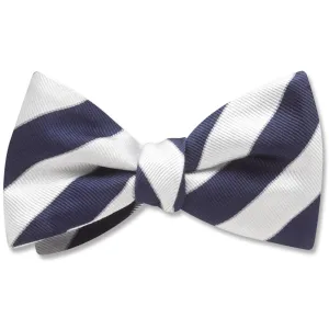 Scholastic Blue/White - bow ties