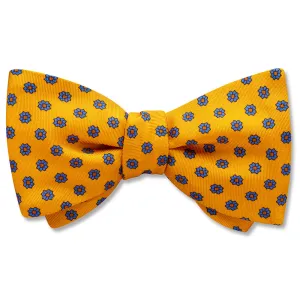 Solidago - Dog Bow Ties