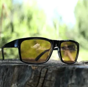 Transoptics