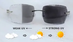 White Buffalo Horn Glasses Silver Frame Size 58 Carved Transitional Clear To Black Lenses