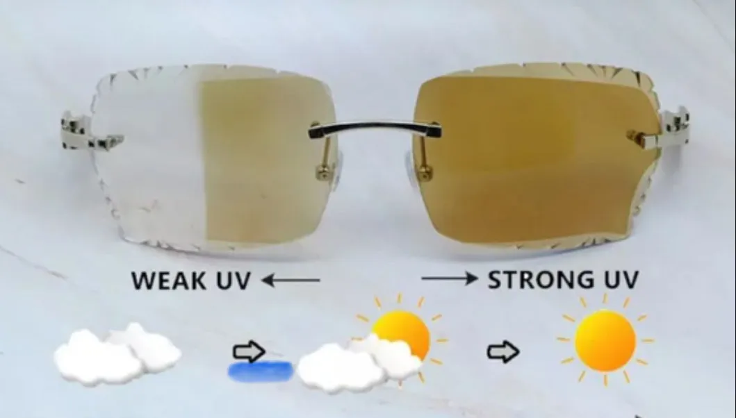 White Buffalo Horn Glasses Silver Frame Size 58 Carved Transitional Clear To Henny Lenses