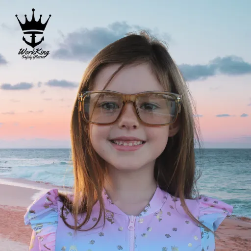 WorkKing - Koolan Island Safety Glasses