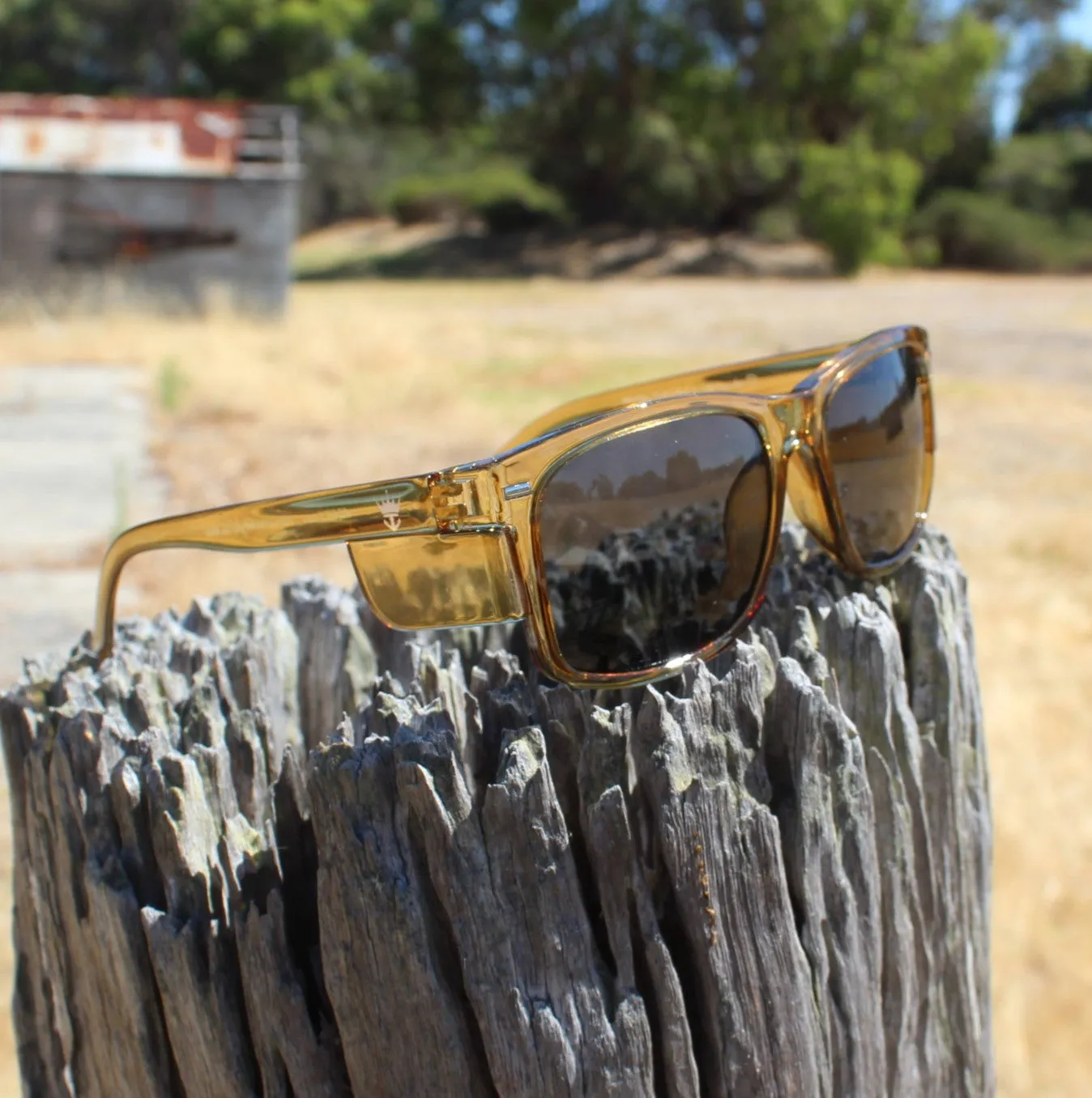 WorkKing - Koolan Island Safety Glasses