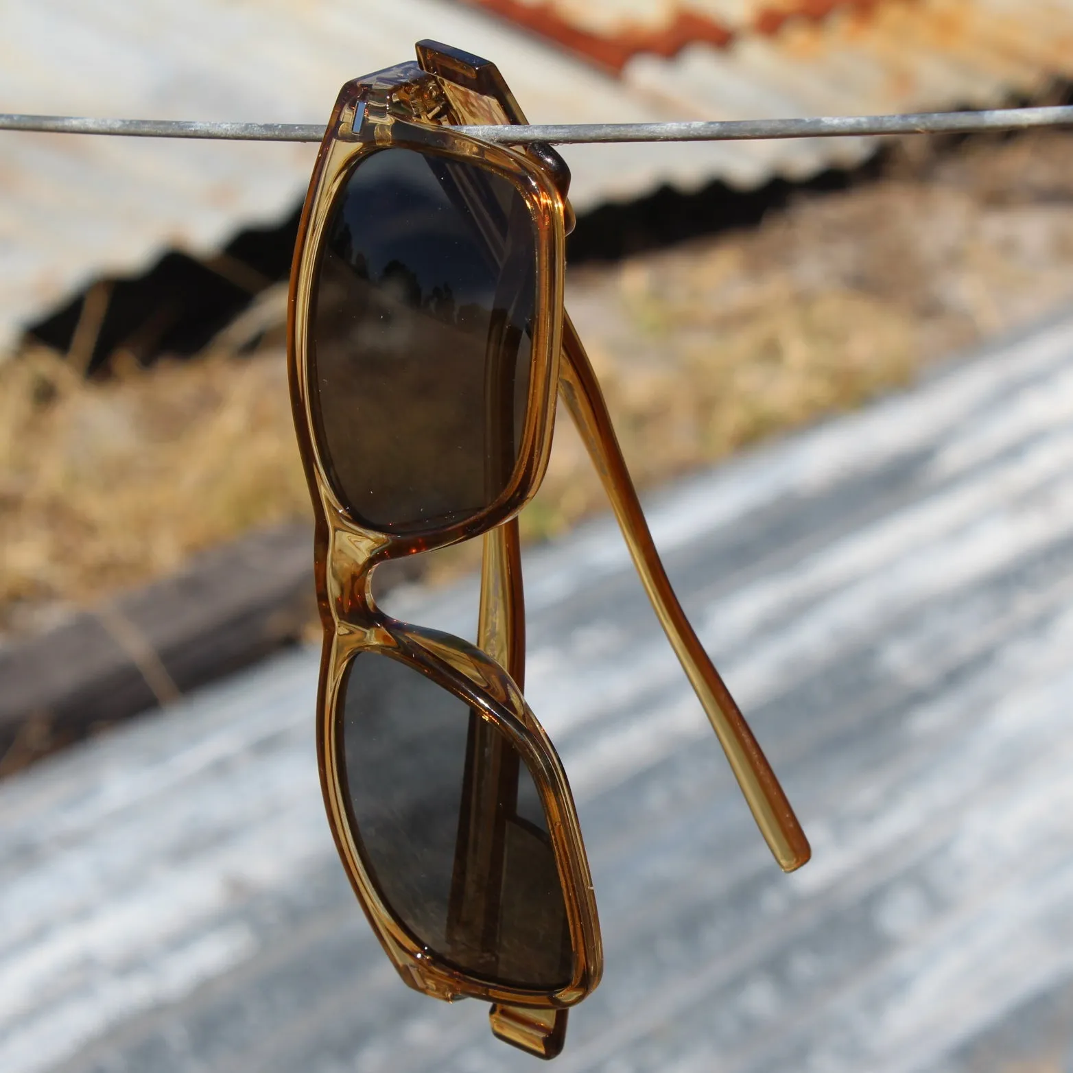 WorkKing - Koolan Island Safety Glasses